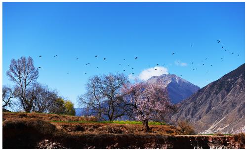 西部地区风光