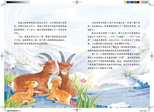 读完塞顿的动物书