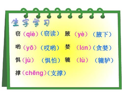 偷窃的乐趣