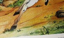 感悟美好生活——读《草房子》有感