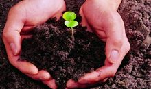 《活出生命的意义》读后感