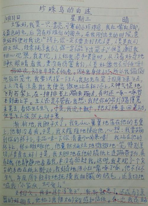 珍珠鸟的叙事