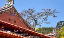 参观千年古刹云门寺