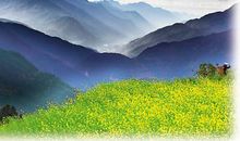 我心中的风景线