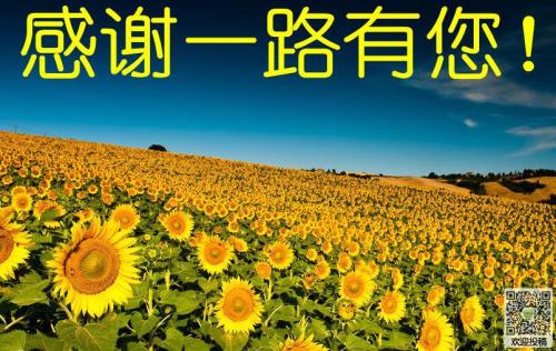 谢谢你在那里