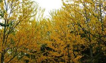 美好的心灵也是一种美