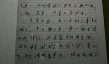 天黑了作文300字动物
