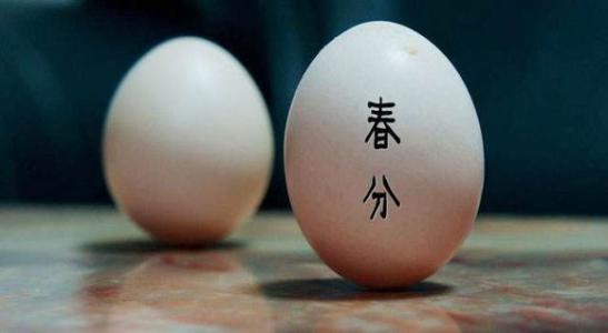 立式蛋