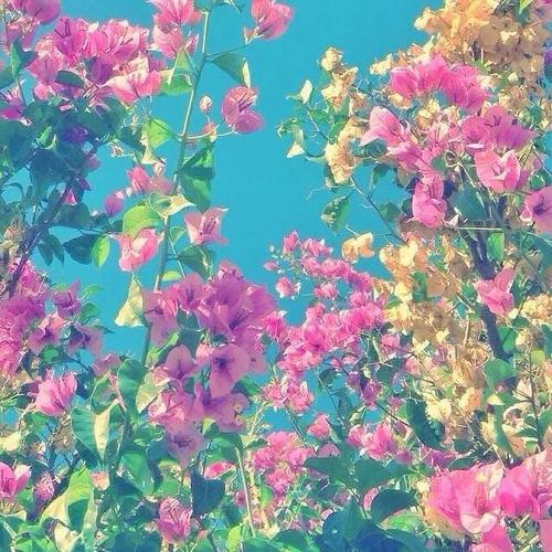 关于阅读《撒哈拉故事》的思考