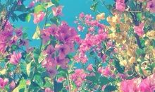 读《撒哈拉的故事》有感