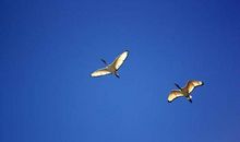 坦然刷新着我的生活