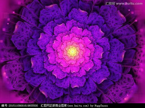 心中盛开的鲜花