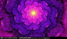 绽放心里的花朵