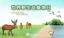 关注身边的世界