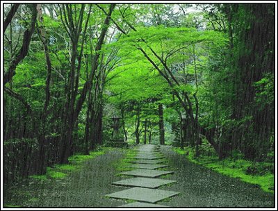 第一次秋天的雨