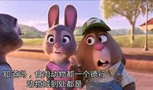 这一次我没有哭