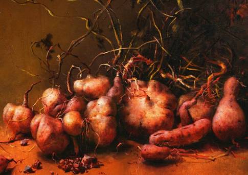 红薯的“兄弟”