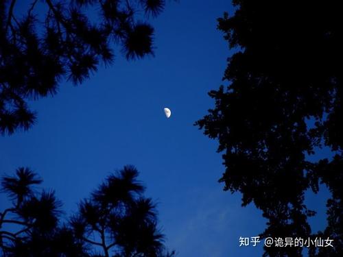 无语