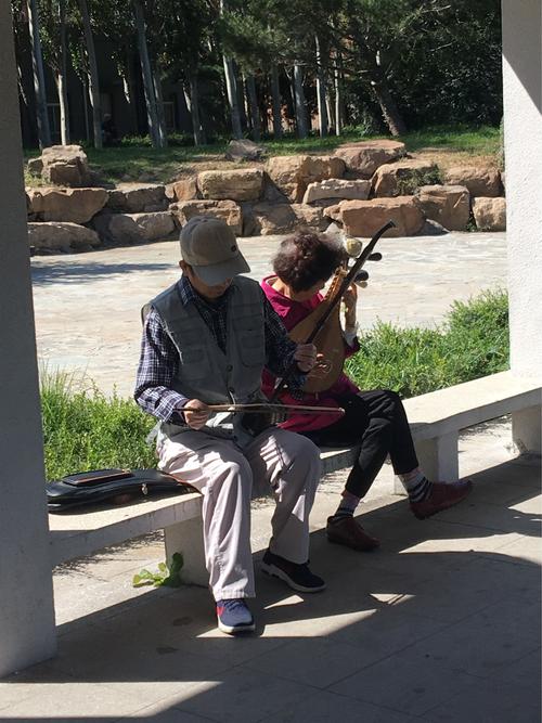 我的小伙伴