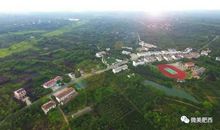 逆境中的奋斗者