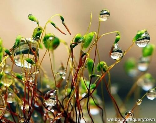 生存需要清醒