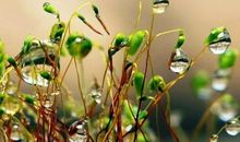 生存，需要一份清醒