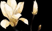 真诚是一种美德