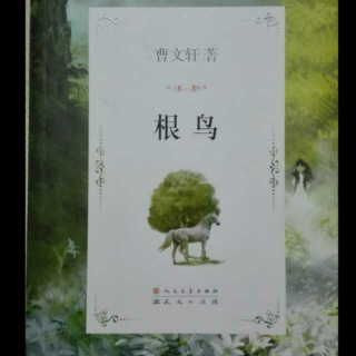对“根鸟”的印象