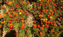 风景，留在记忆深处