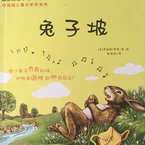 阅读后的兔子坡