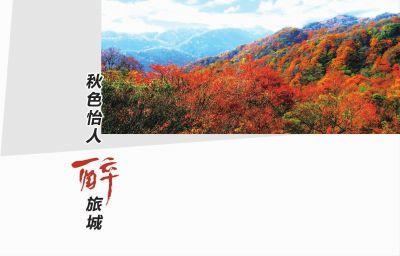 秋天令人陶醉