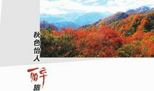 秋色醉人不须归