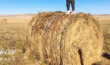 我的幸福时光作文