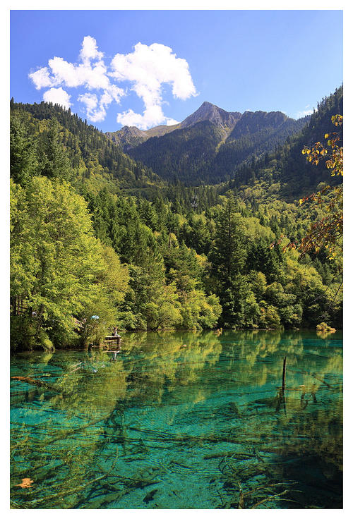 九寨沟分公司