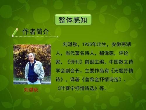 四季雨的魅力
