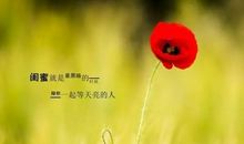 不仅仅是一个微笑