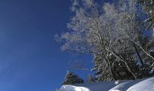 那份纯净不能忘