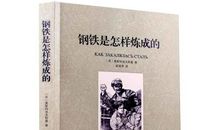 读《钢铁是怎么炼成的》有感