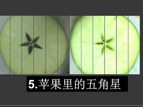 苹果的五角星