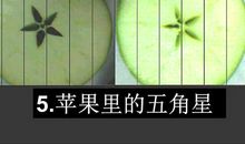 苹果里的五角星