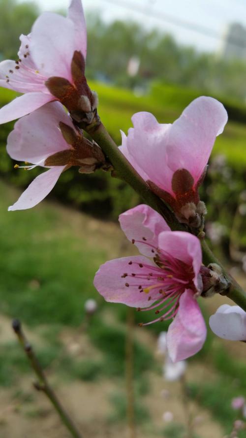 四个季节真漂亮