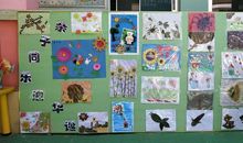 我眼中的美丽世界