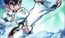 我学会了跆拳道