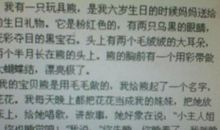 我喜欢的玩具作文200字