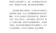 我最喜欢的小动物作文二年级