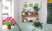 说服同学在班级里设立生物角