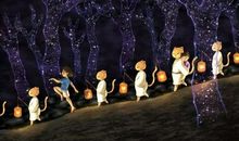 孩子与白鹭读后感