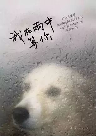 我在雨中看太阳