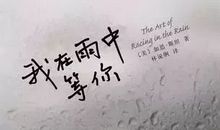 我在雨中看太阳