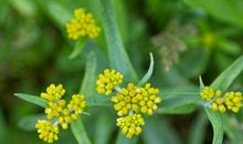 品尝人间的温暖